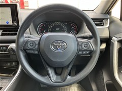 RAV4 X
