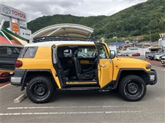 FJクルーザー カラーパッケージ