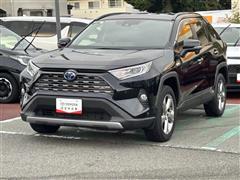 RAV4 HV G