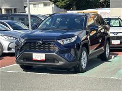 RAV4 X