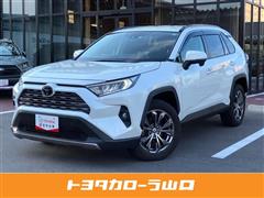 RAV4 G