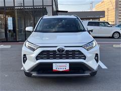 RAV4 G