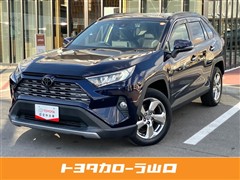 RAV4 G