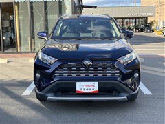 RAV4 G
