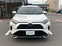 RAV4 PHV G