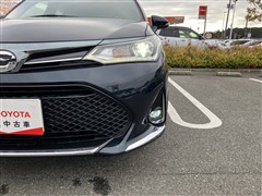 カローラフィールダーG WXB