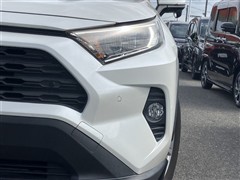 RAV4 X