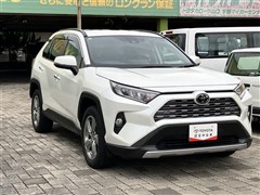 RAV4 G