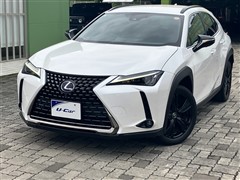 レクサス UX250h ヒョウジュンシャ