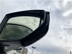 UX250h ヒョウジュンシャ