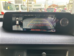 UX250h ヒョウジュンシャ