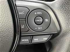 RAV4 X