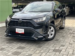 RAV4 X