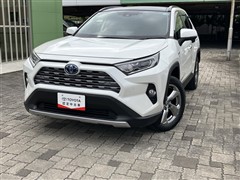 RAV4 ハイブリッドG