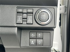 ムーヴキャンバス ストライプス G