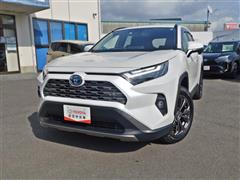 ＲＡＶ４