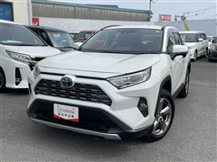 RAV4HEV G