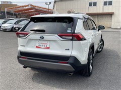 RAV4HEV G