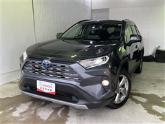 トヨタ RAV4HEV G