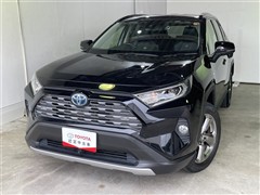 RAV4HEV G