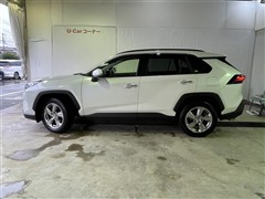 RAV4 G