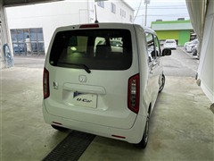 N-WGN L