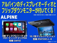 ノア X コーデバイオリジナルカラ