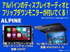 ノア X コーデバイオリジナルカラ