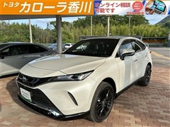 ハリアーHV ZレザーPナイトシェート
