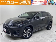 NX300 Iパッケージ