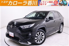 RAV4 G Zパッケージ 4WD