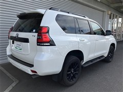 ランクルプラド TX L マットBL