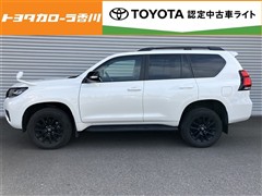 ランクルプラド TX L マットBL