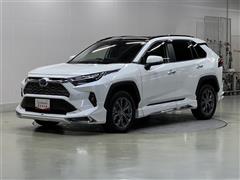 ＲＡＶ４