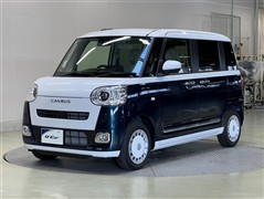 ムーヴキャンバス ストライプス G