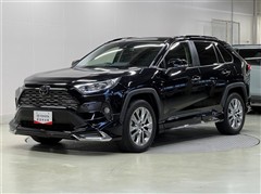 RAV4 G Zパッケージ