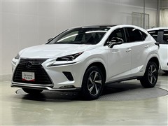 レクサス NX300h スパイス&シック