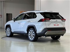 RAV4 G Zパッケージ