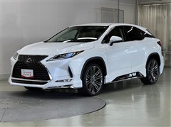 RX300 バージョンL