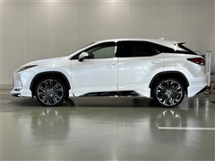 RX300 バージョンL