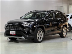 RAV4 G