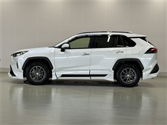 RAV4 G