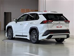 RAV4 G