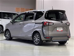 Gクルマイシヨウシャスロープタイプ3