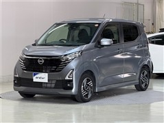 デイズハイウェイスターX PPTed