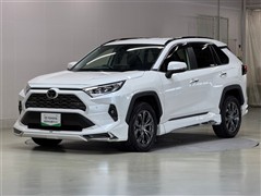 RAV4 G
