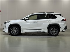RAV4 G