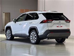 RAV4 G Zパッケージ