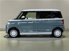 ムーヴキャンバス ストライプス G