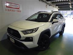 RAV4アドベンチャーオフロードP